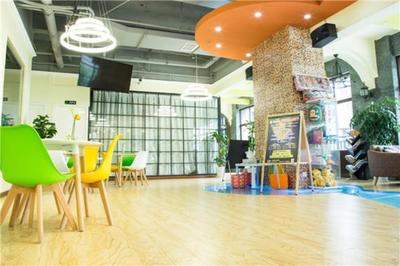 上德大象全國有多少家店？揭秘教育藝術領域的創業藍海與輝煌版圖